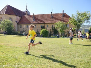 Image - 3