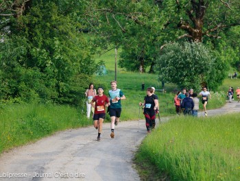 Image - 43