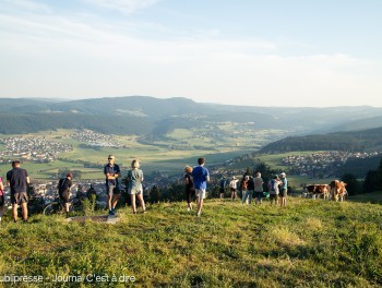 Image - 32